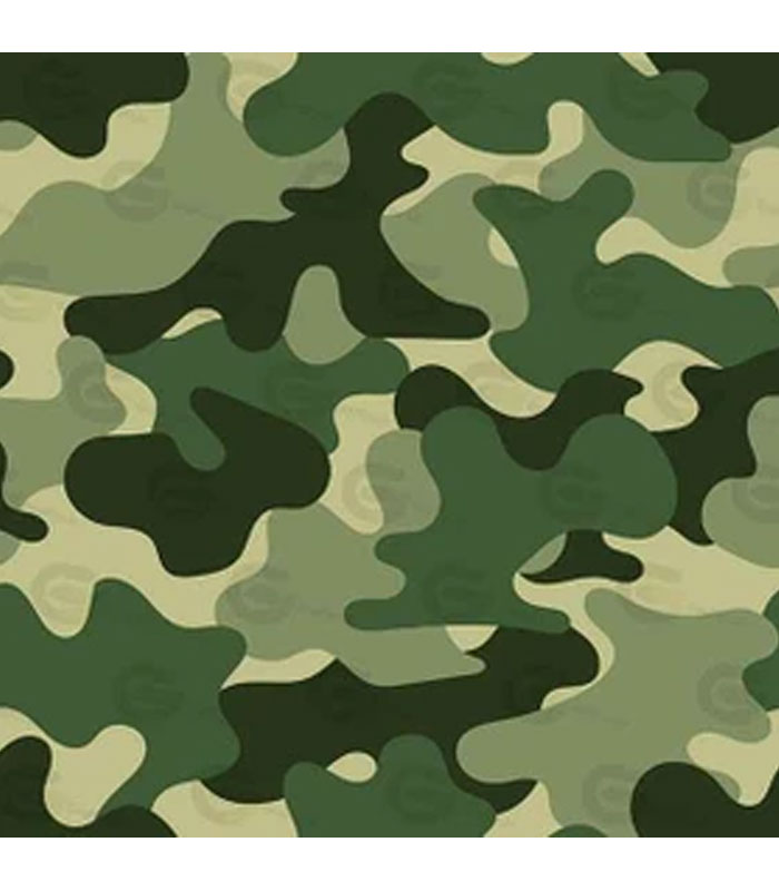 ارتشی